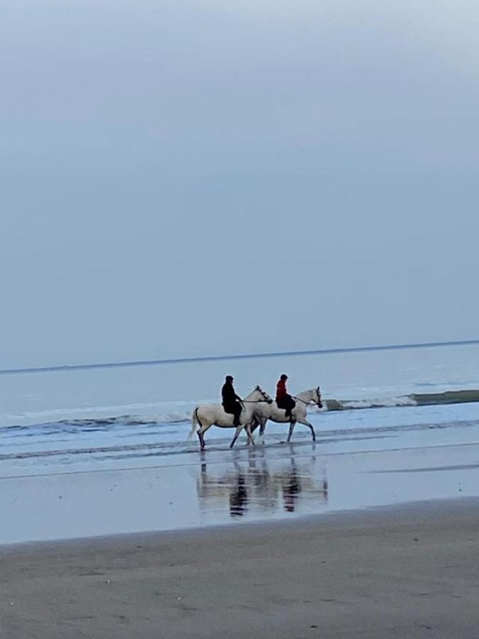 L'Escale A Deauville Zewnętrze zdjęcie