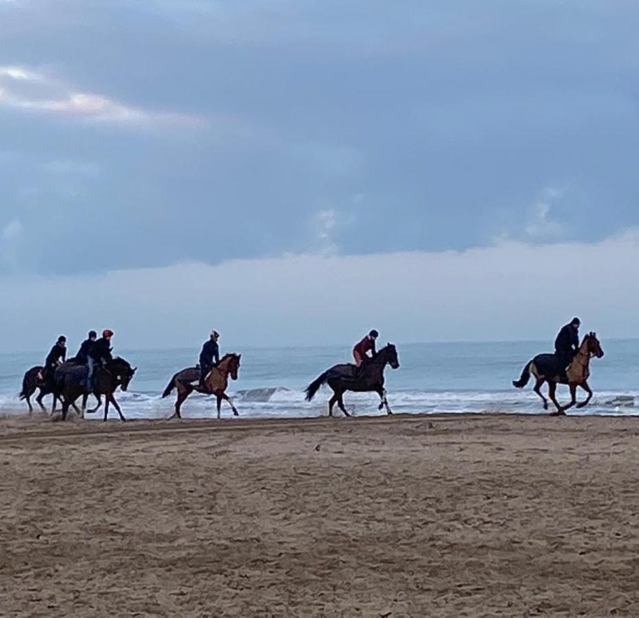L'Escale A Deauville Zewnętrze zdjęcie