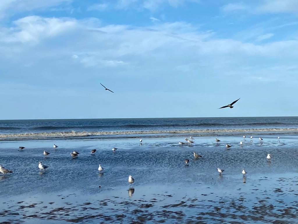 L'Escale A Deauville Zewnętrze zdjęcie